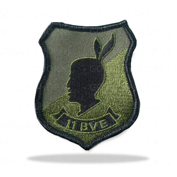 11 BVE patch