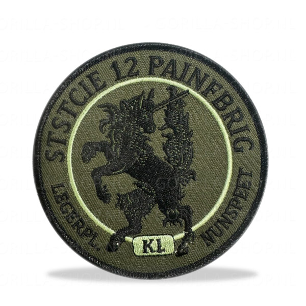 12 PAINFBRIG – STSTCIE patch