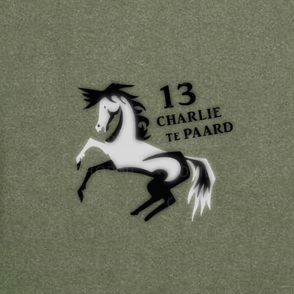 13 PAINFBAT C-CIE Premium T-shirt - Afbeelding 5