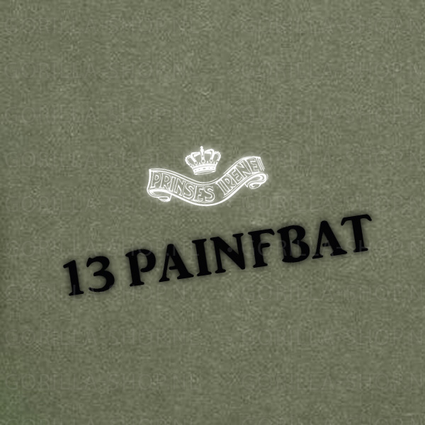 13 PAINFBAT C-CIE Premium T-shirt - Afbeelding 4