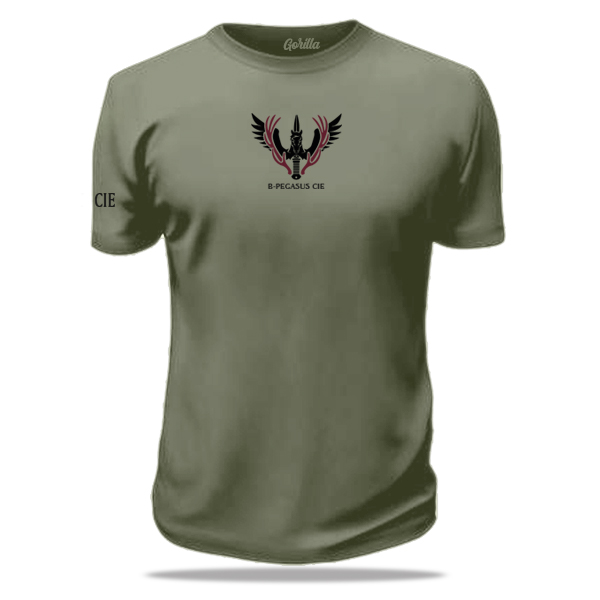 13 INFBAT B-CIE (Pegasus) Premium T-shirt