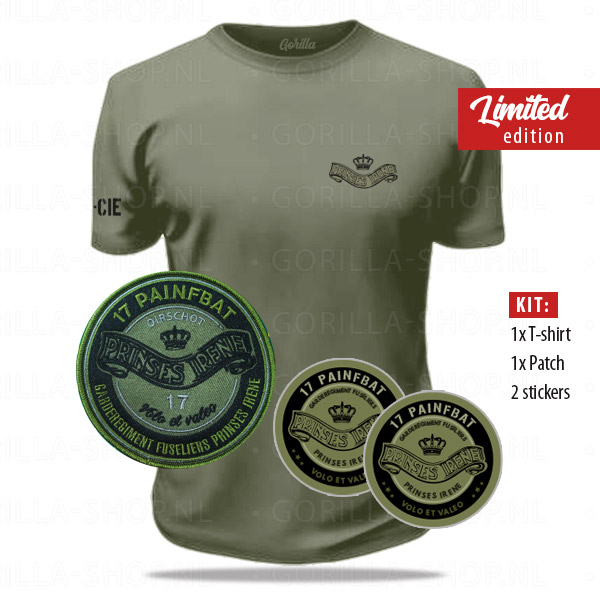 17 PAINFBAT - KIT