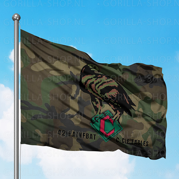 42 Painfbat (C-cie) vlag