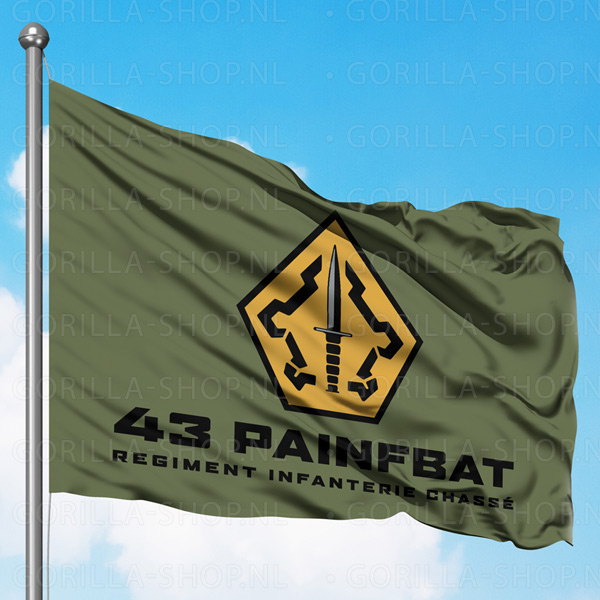 43 Painfbat vlag