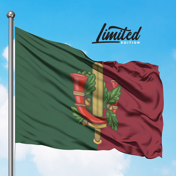 42 BLJ vlag - Regimentskleuren