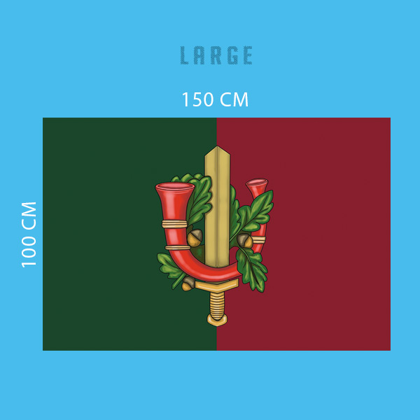 42 BLJ vlag - Regimentskleuren - Afbeelding 3