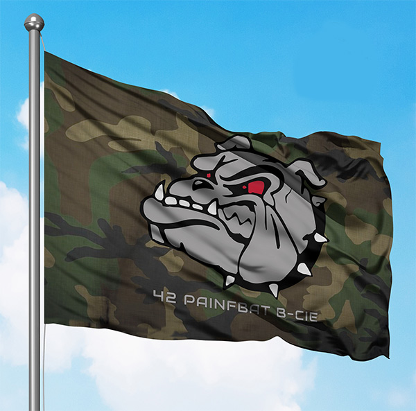 42 Painfbat (B-cie) vlag