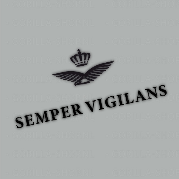 Semper Vigilans