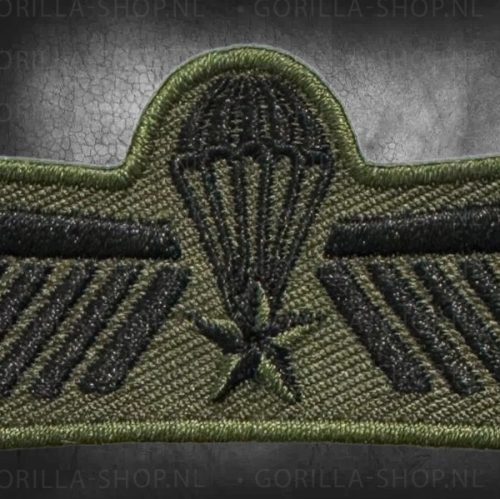 Para brevet patch
