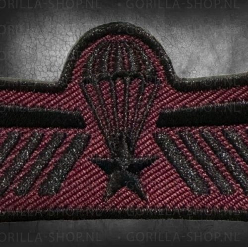 Wing Luchtmobiele Brigade
