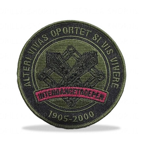 Regiment Intendancetroepen patch